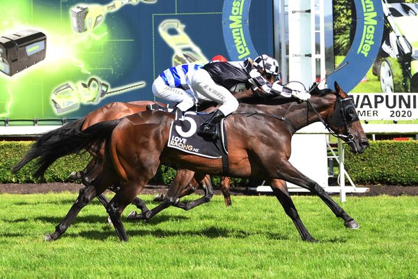 Schofer riding crest of a wave