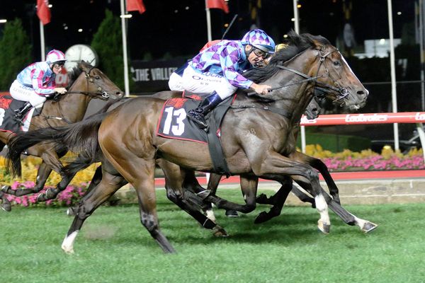 Cup start up in the air for Princess Jenni