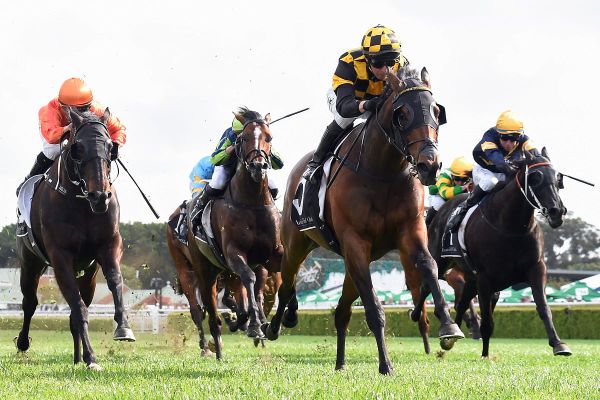 Ellis reflects on momentous year for Te Akau Racing