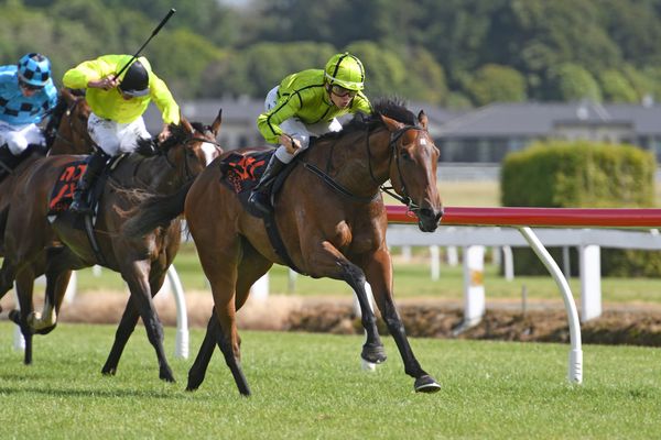 Triple threat for local trainers