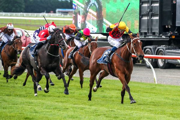 Miller makes southern raid