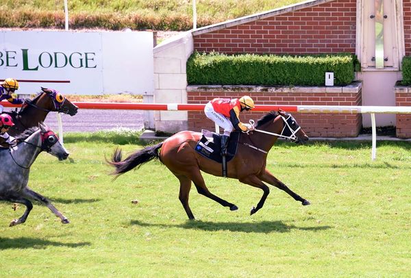 Northern raider dominates in Hazlett Stakes