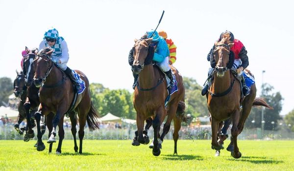 She’s Alight shines brightly at Ascot
