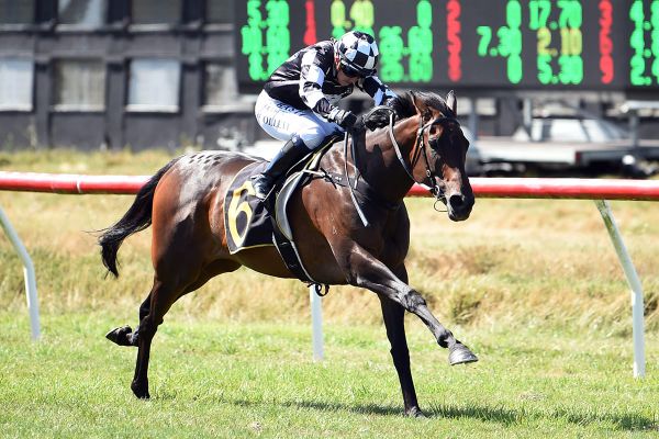 Sharrock pleased with Sinarahma