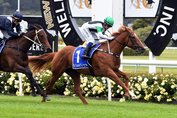 Pike unleashes emerging stars at Ellerslie