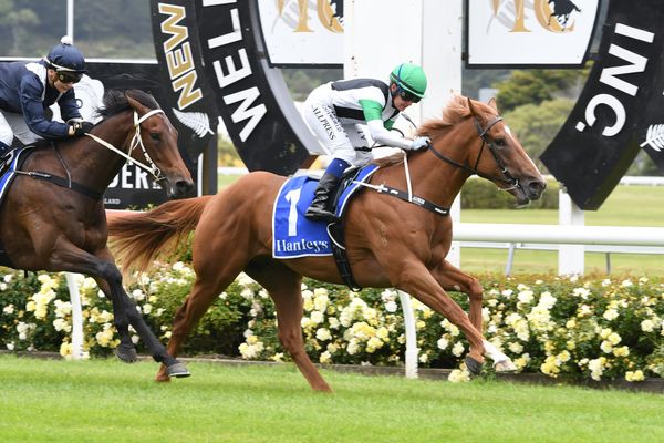 Favourite delivers in Trentham two-year-old feature