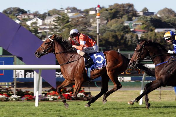 Cameron calls time out on riding career