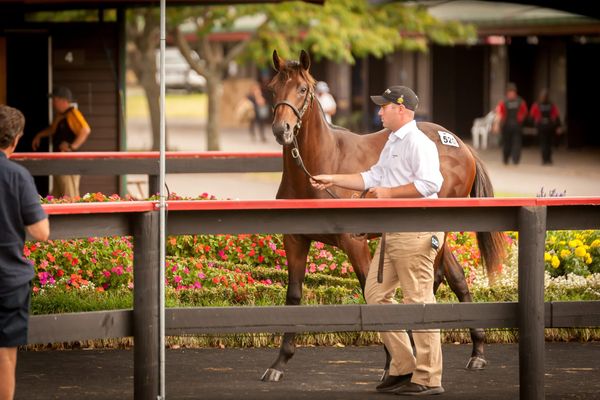 Positive Book 1 Sale Sets New Benchmark