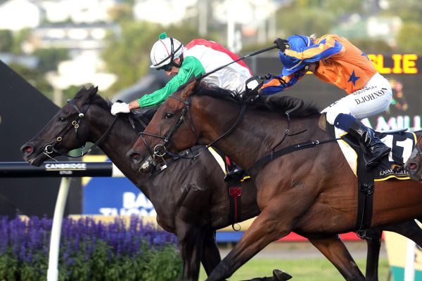 Innes full of admiration for Karaka Million 3YO Classic winner