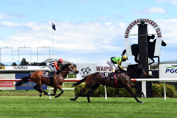 Basarwa primed for Levin Classic tilt