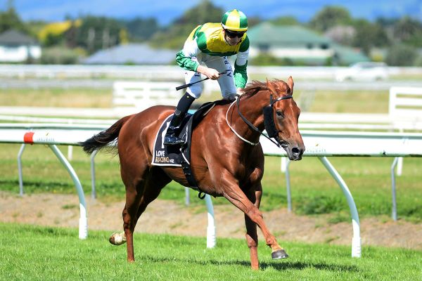 Beauden defends Marton Cup crown