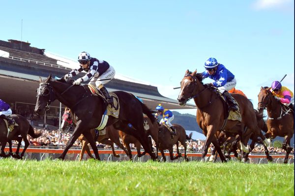 South Islander goes close to massive Cup upset