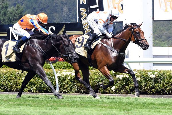 Understated Otaki couple enjoy Group One success