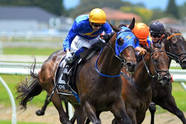 Cavallo Veloce back to winning form