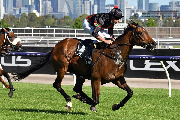 Defibrillate capitalises at Flemington