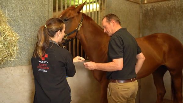 Beyond The Winning Post | Segment 2- Dr Doug Black