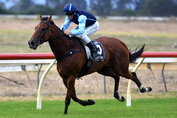 Local does it Ever So Easy at Ruakaka