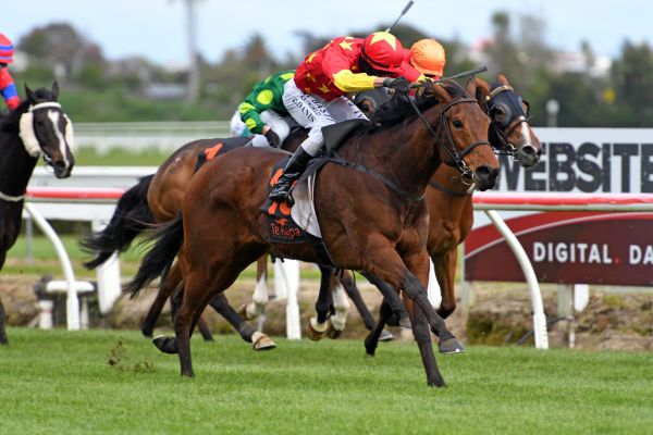 Marton Cup next for Grand Bouquet