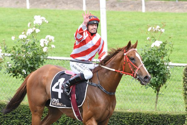 Hunta Pence eyeing stakes three-peat