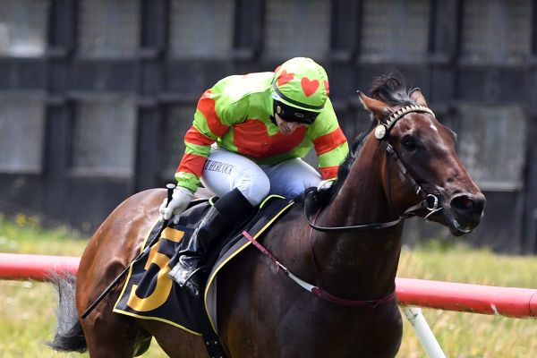 Hercock bolsters senior riding ranks in the Central Districts