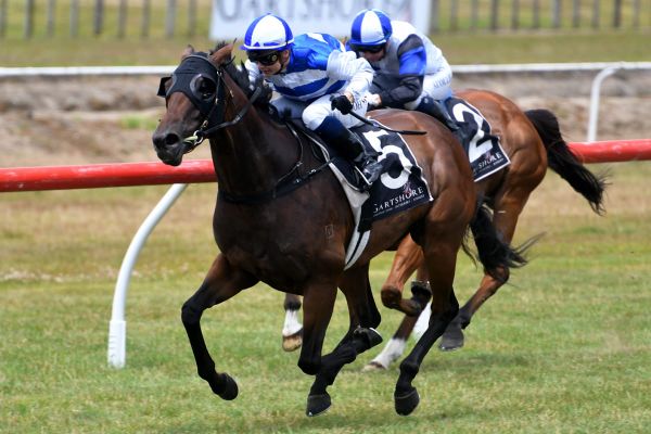 Les Crayeres on song at Tauranga