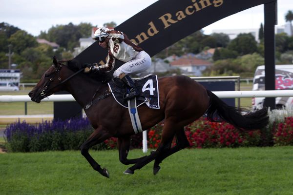 Levante simply brilliant in Westbury Classic