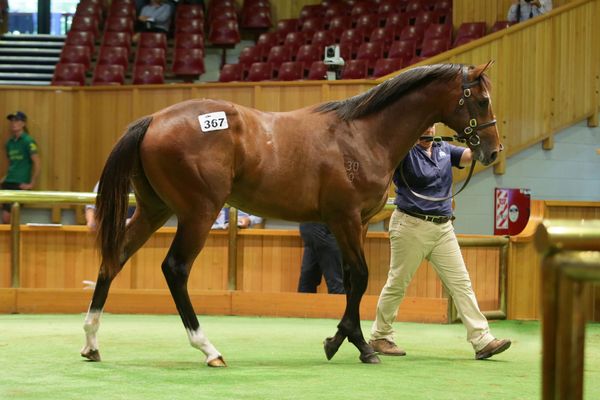 Richards secures top lot on day two