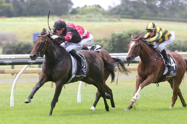 Stakes targets beckon promising filly