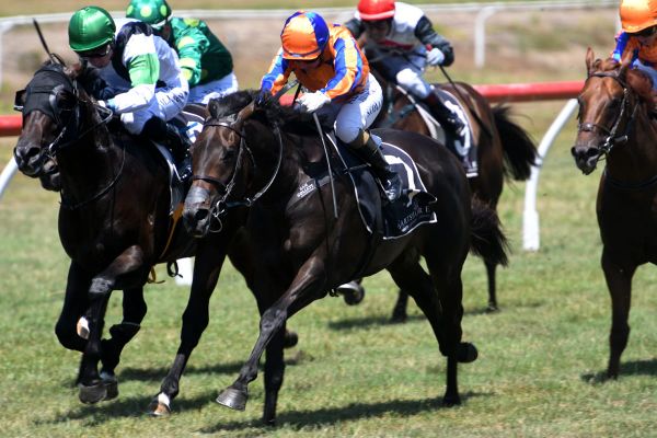 Te Akau pair sneak into Karaka Million