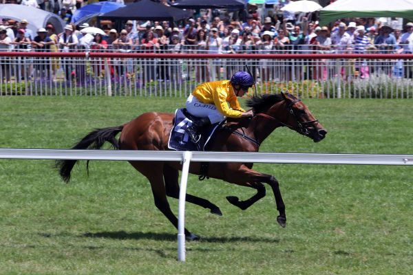 Sponsor takes major prize in Royal Stakes