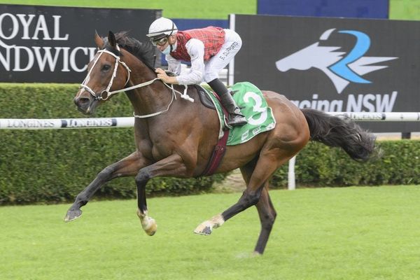 Waller places correct Order Again