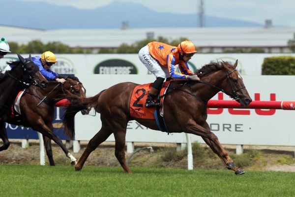 Palamos withdrawn from Karaka Million