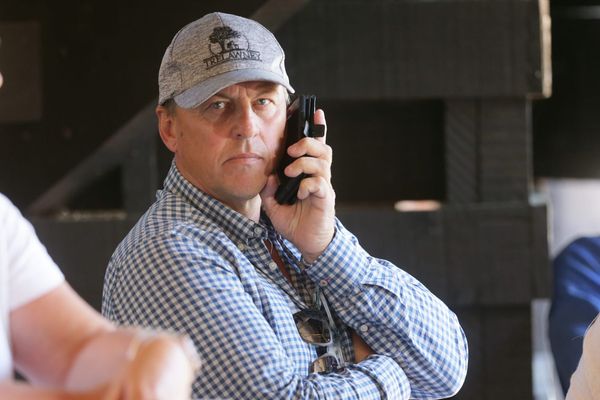 Perry to the fore in early Karaka action