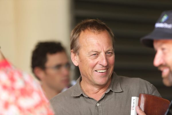 Almanzor proving popular at Karaka