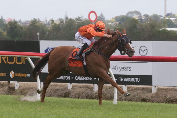 Vance scanning weather reports for signs of rain