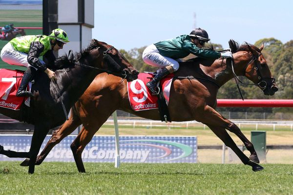 Second Slip in safe hands at Sandown