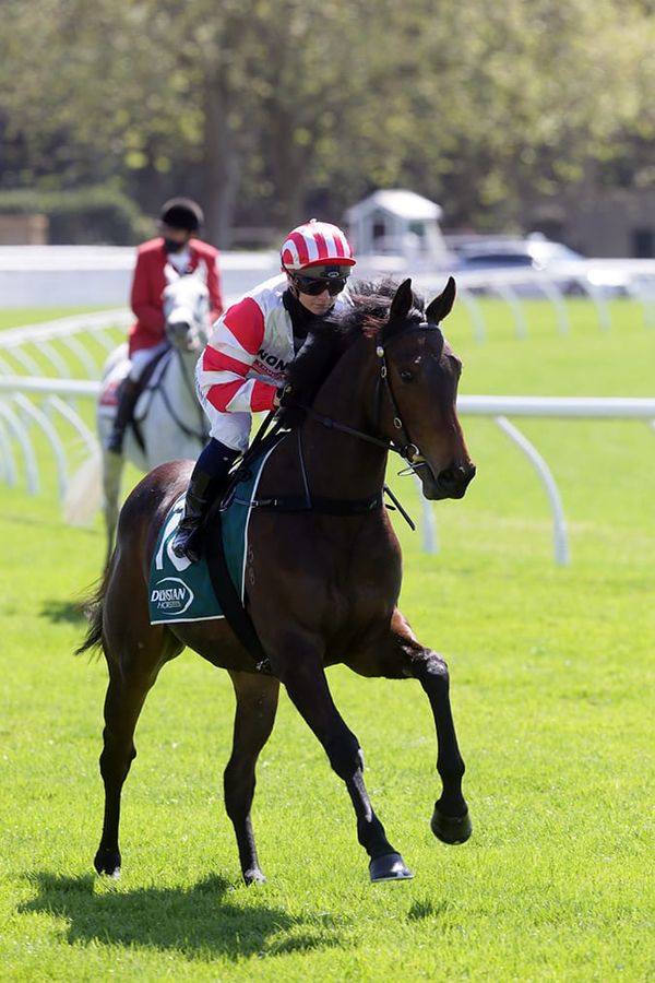 Clotworthys break new ground with Seven Twenty