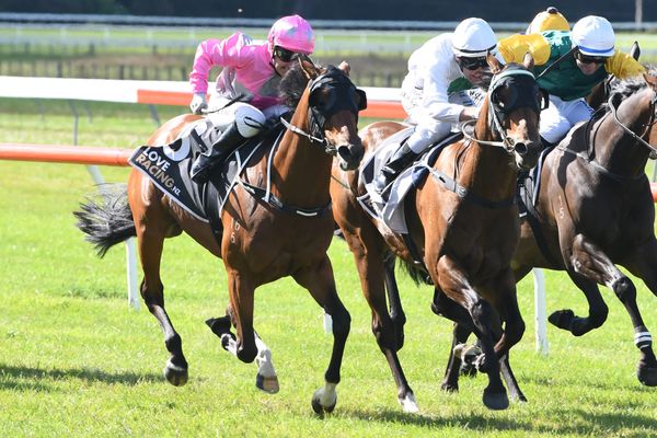 Springsteen makes impressive return after lengthy absence