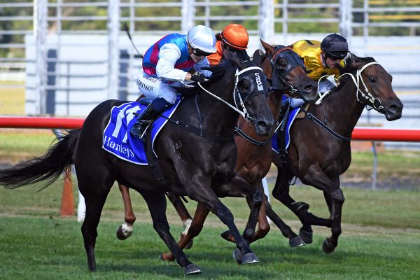 Ton up but Johnson looking for more