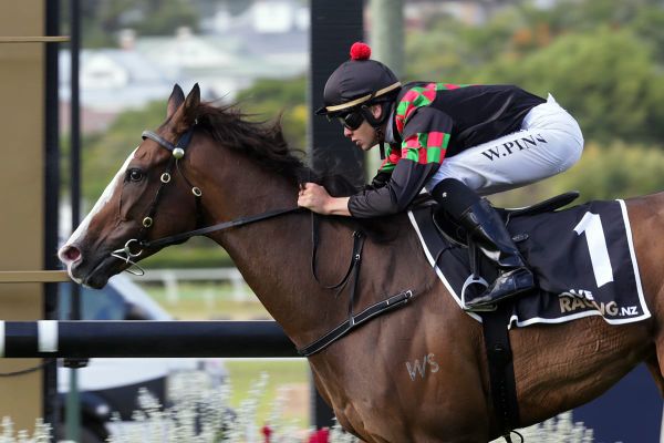 Tiptronic back to best at Ellerslie