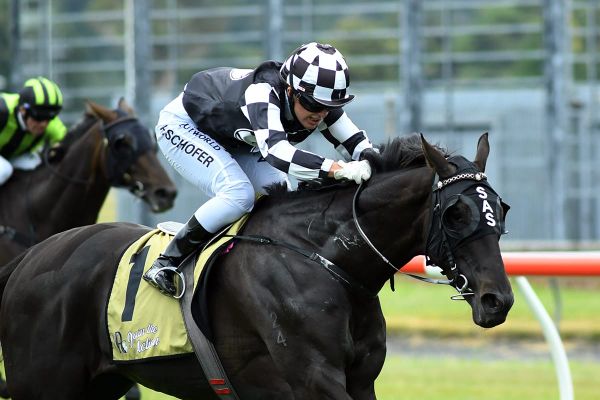 Wellington Cup high on Sharrock’s wish-list