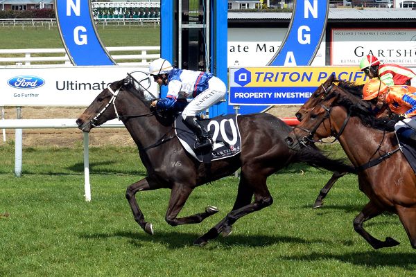 Classic goals for McKee’s Karaka Million pair