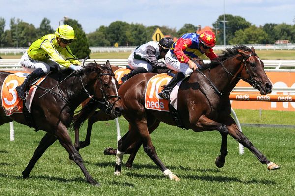 War Critic on song at Caulfield