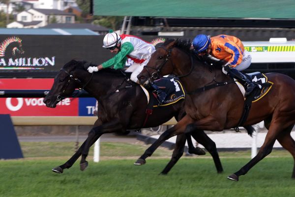 Aegon to cope with rainy Rosehill