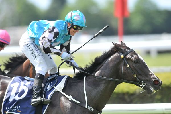 Aimee’s Jewel joins Victorian stable