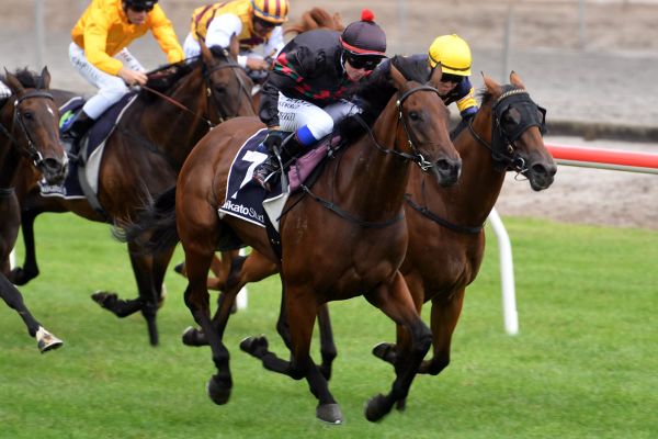Oaks hopeful scores Matamata win