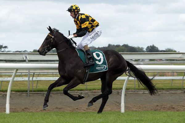 Noble in search of more success at old stomping ground