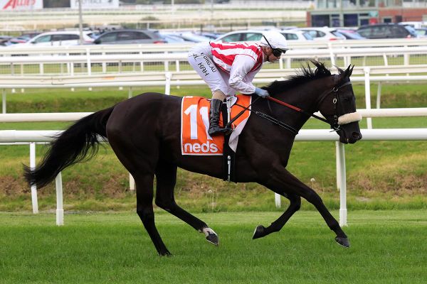Butter Chicken on the menu at Caulfield