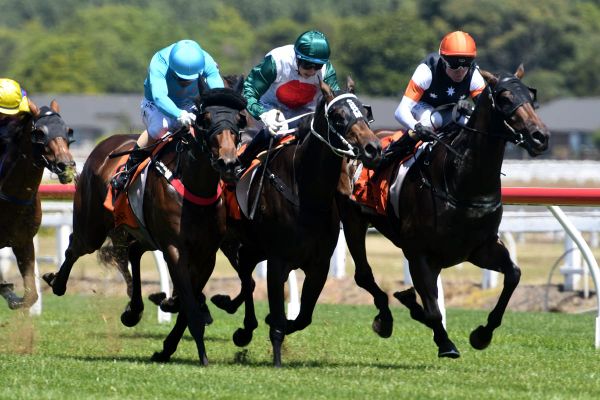 Good will gesture for Captain Tom supporters