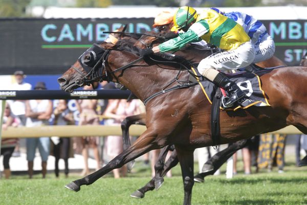 Australia still on the cards for Concert Hall